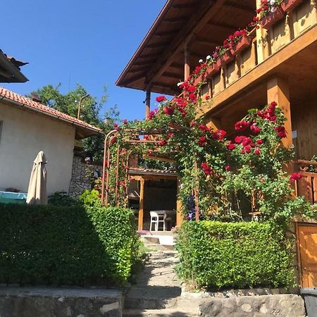 Guest House Roden Dom Koprivstica Kültér fotó