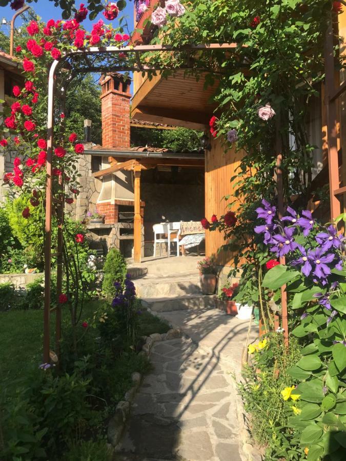Guest House Roden Dom Koprivstica Kültér fotó
