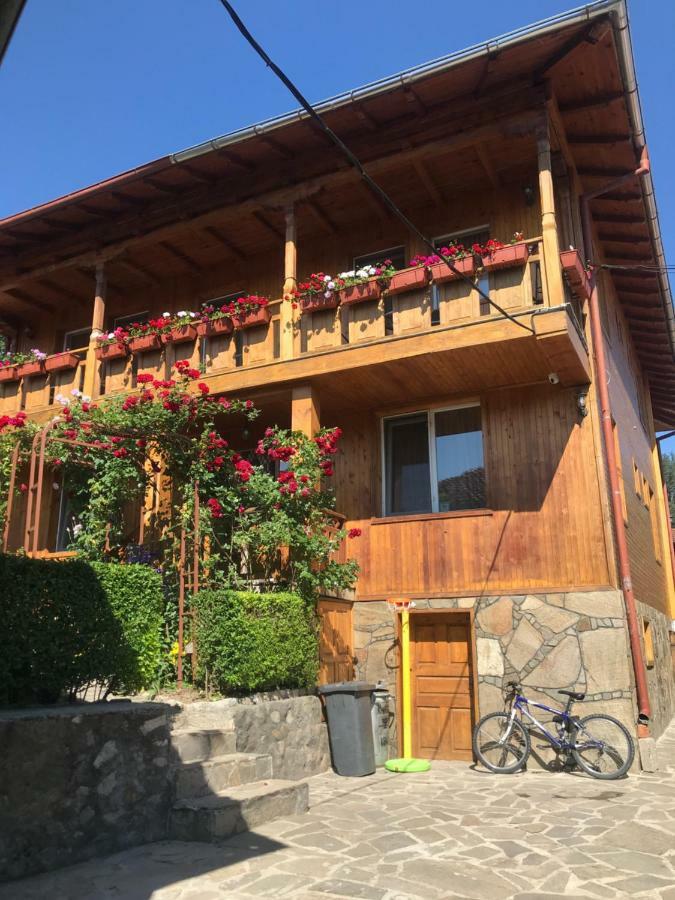 Guest House Roden Dom Koprivstica Kültér fotó